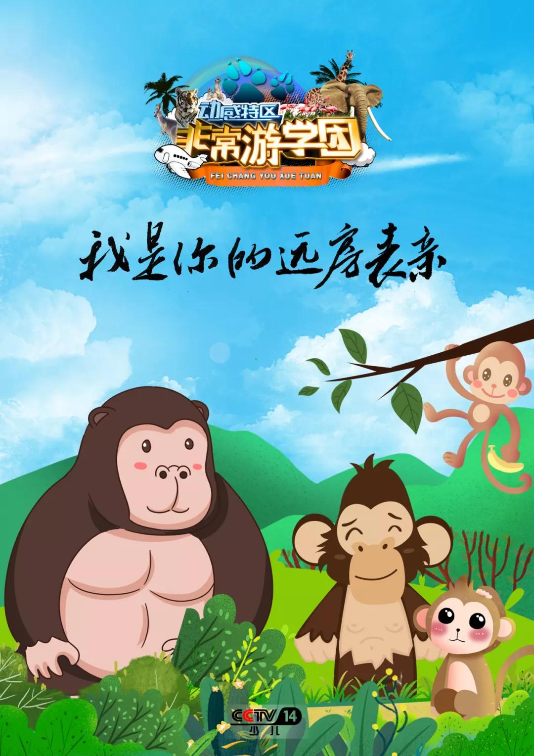 大熊猫百科知识详细介绍,大熊猫前脚有几只手指