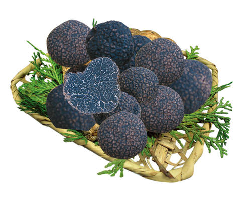 松露很贵,松露到底是为什么贵看完长见识了