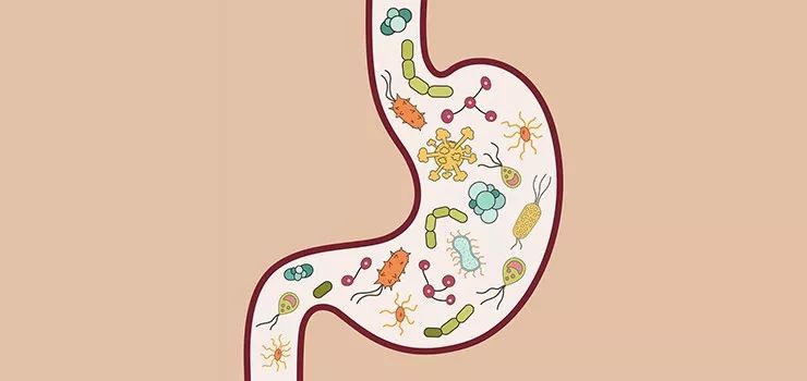 念珠菌的预防方法,念珠菌怎样预防