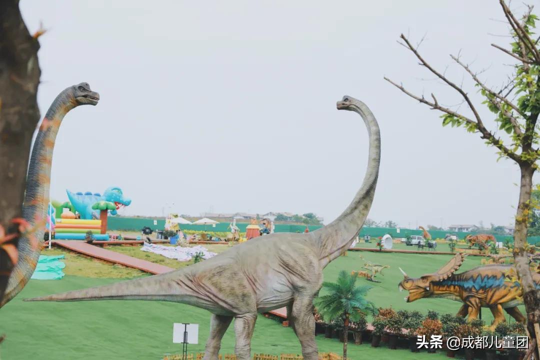 双流空港体育公园看飞机攻略,周末去空港花田