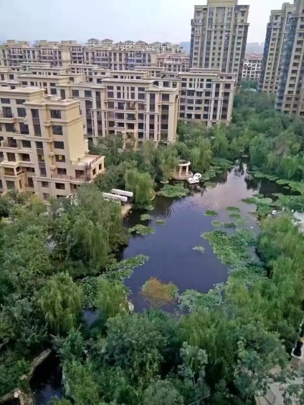 沈阳三环以内房价,沈阳三环内刚需二手房65w