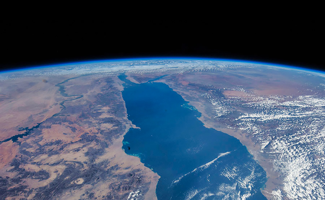 东非蝗虫为何能飞过红海,东非蝗灾的蝗虫最后跑哪里去了