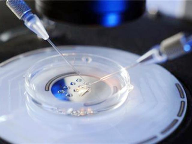 试管婴儿到底有多疼,做试管婴儿看得心疼