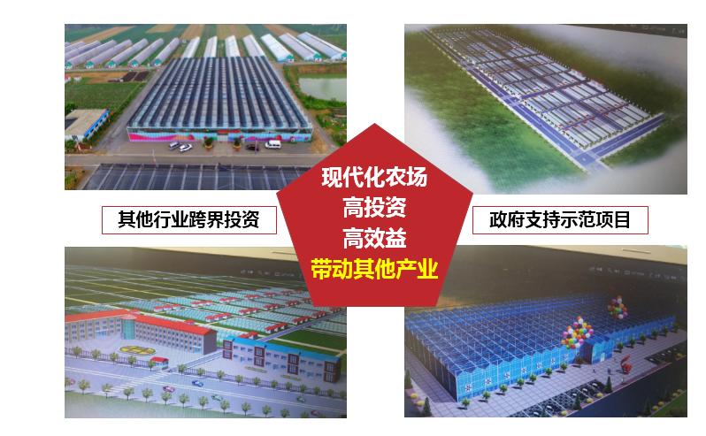 现在种草莓到过年来得及吗,种草莓有前途吗