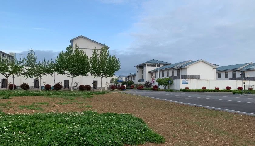 救命的假药案件,救命的假药