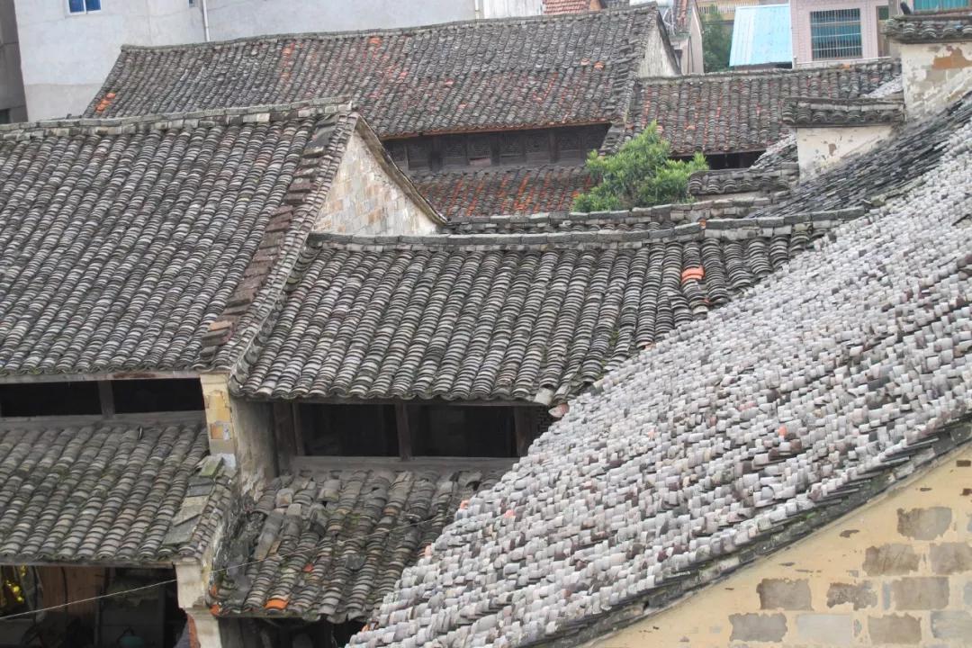 东阳市白坦村古建筑历史文化！我们一起去看看吧