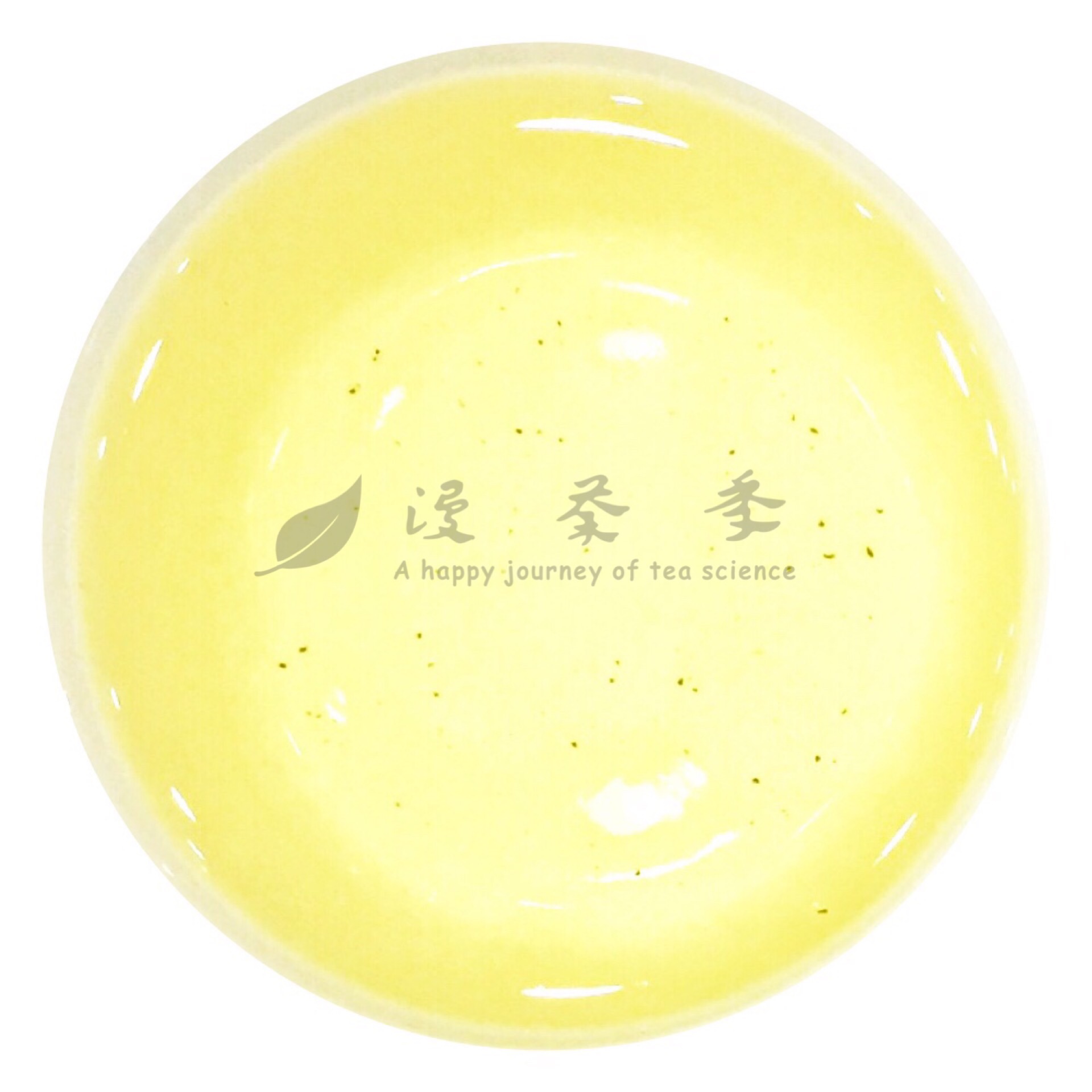 「漫茶记﹒评茶日志」源于福建的台湾青茶，其品质有何特点？