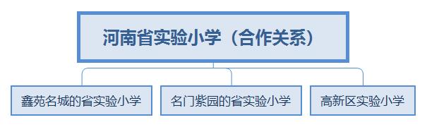 文博、英才...河南省实验”旗下9所中小学一览，谁是真正名校？