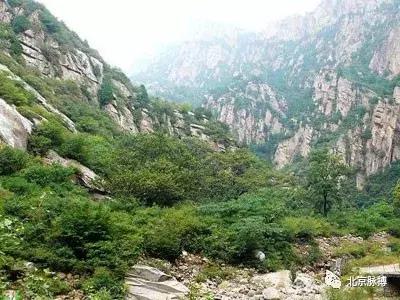 画说回龙观,北京最漂亮的森林公园