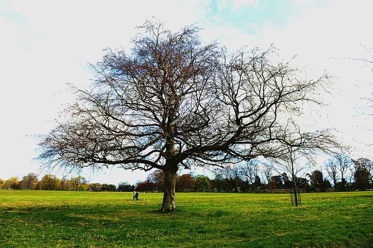 游凤凰古城游记,游凤凰古城旅游攻略三日游