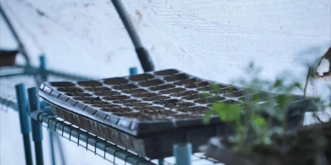 番茄锅酸甜番茄,超浓郁的番茄火锅吃一次就爱上了