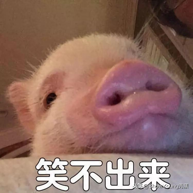 天猫旗舰店会有假货吗,天猫的官方旗舰店会不会卖假货