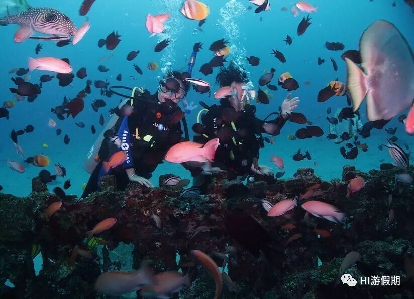 帕劳为什么对中国免签,帕劳海岛免签条件