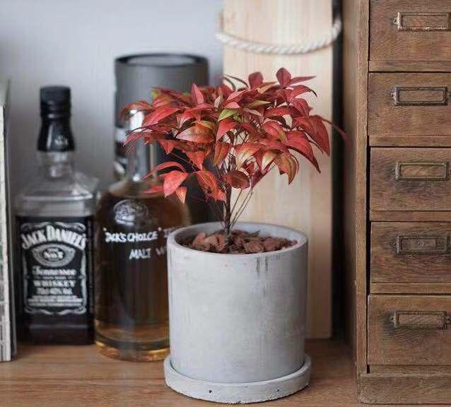 11月好物,10月实用好物推荐