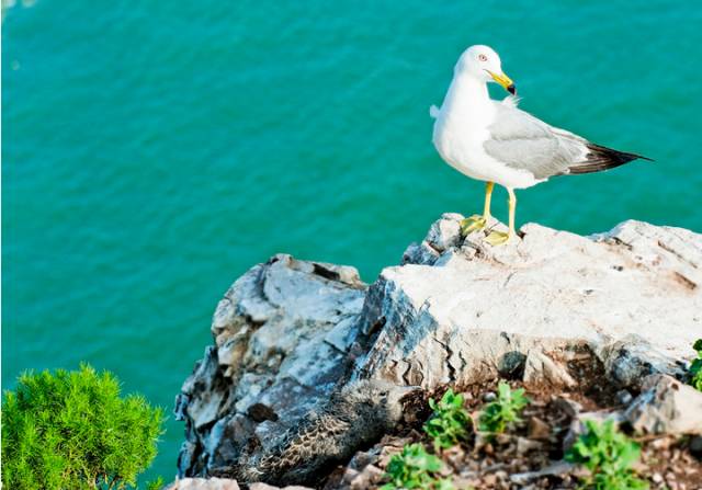 各地人看威海,威海的夏天是什么样的