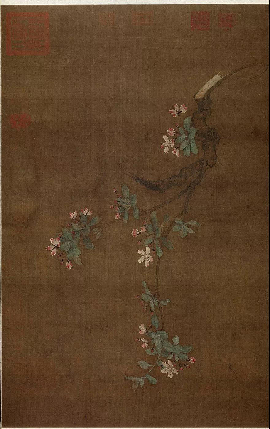 学画画最基础的从哪里学起,60岁学画画入门