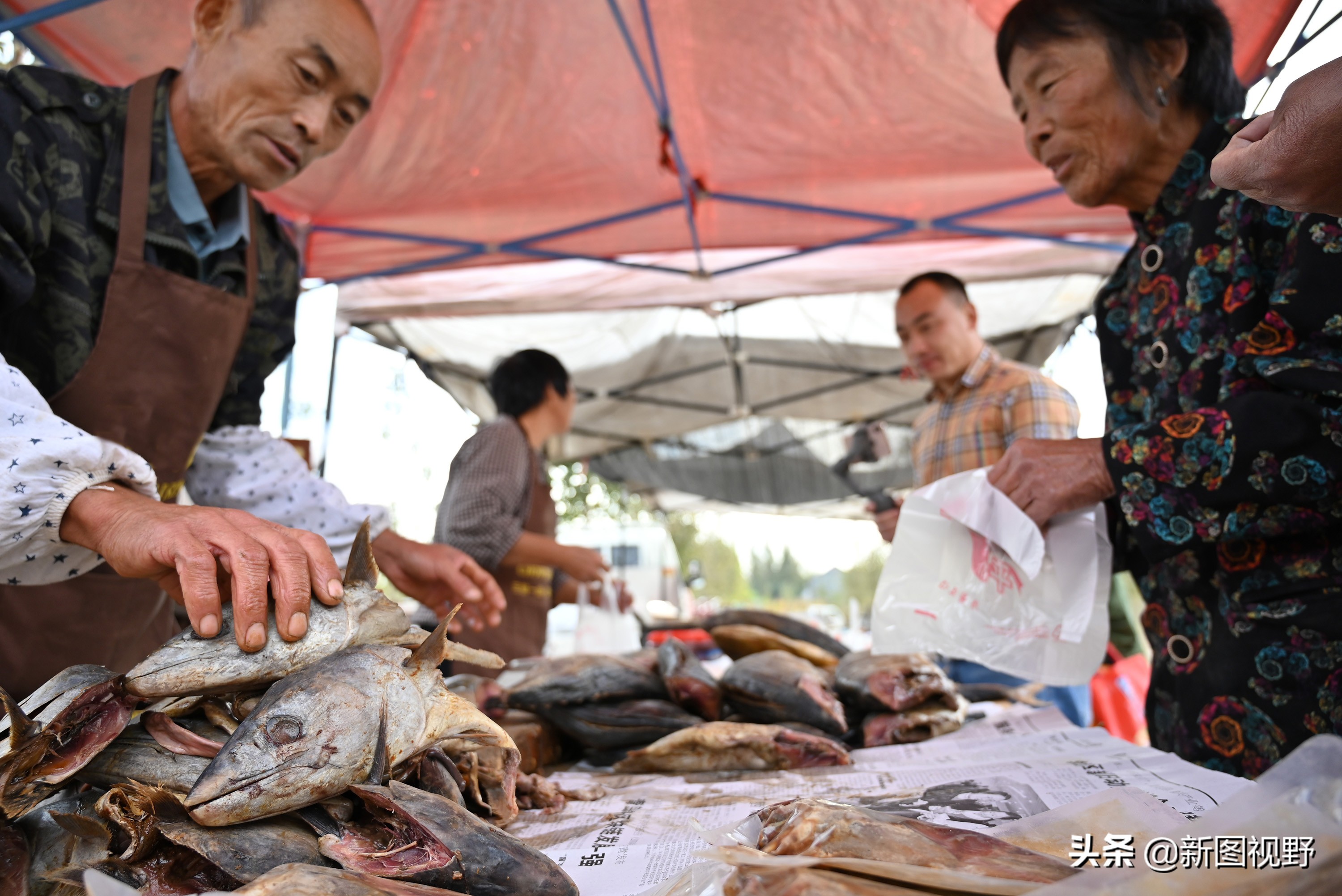 农村夫妇卖鱼视频,市场卖咸鱼赚多少钱一斤