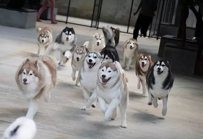 曼谷免税店攻略之自由行,曼谷东西最全的免税店