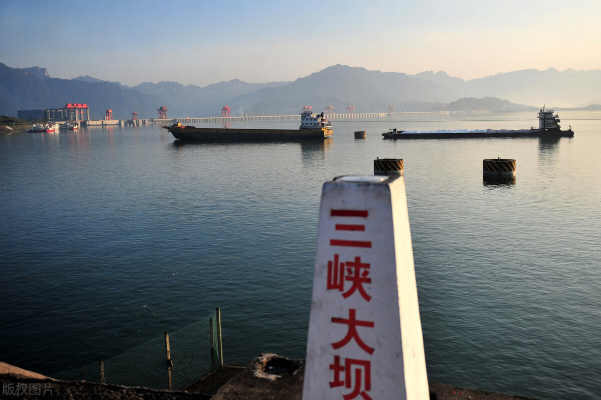 中华鲟最大可以长多少米,三峡最大中华鲟