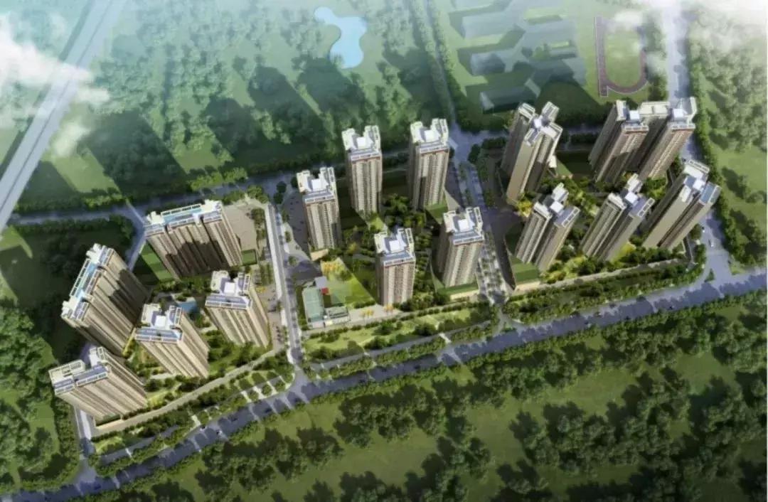 深圳光明发展最好的地方在哪,深圳光明区有什么好的地方