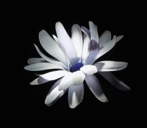 2018民谣歌曲大全100首,2018经典民谣推荐