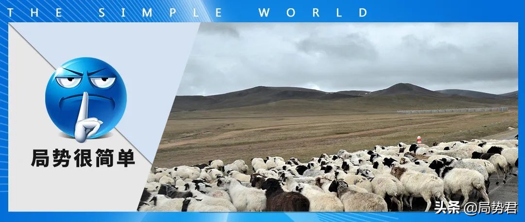 蒙古捐赠的三万只羊到哪里了,蒙古捐赠的3万只羊怎么样了