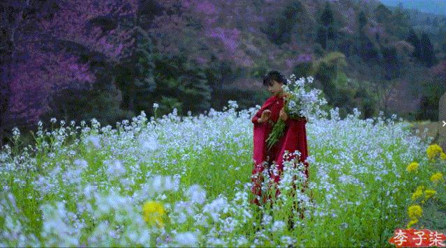 掬水月在手弄花香满衣兴来无远近,掬水月在手弄花香满衣书法作品