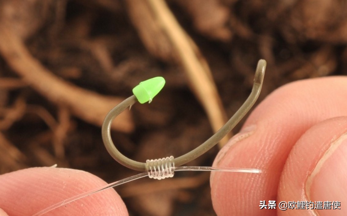 话说欧鲤钓最新消息,话说欧鲤钓鱼完整版