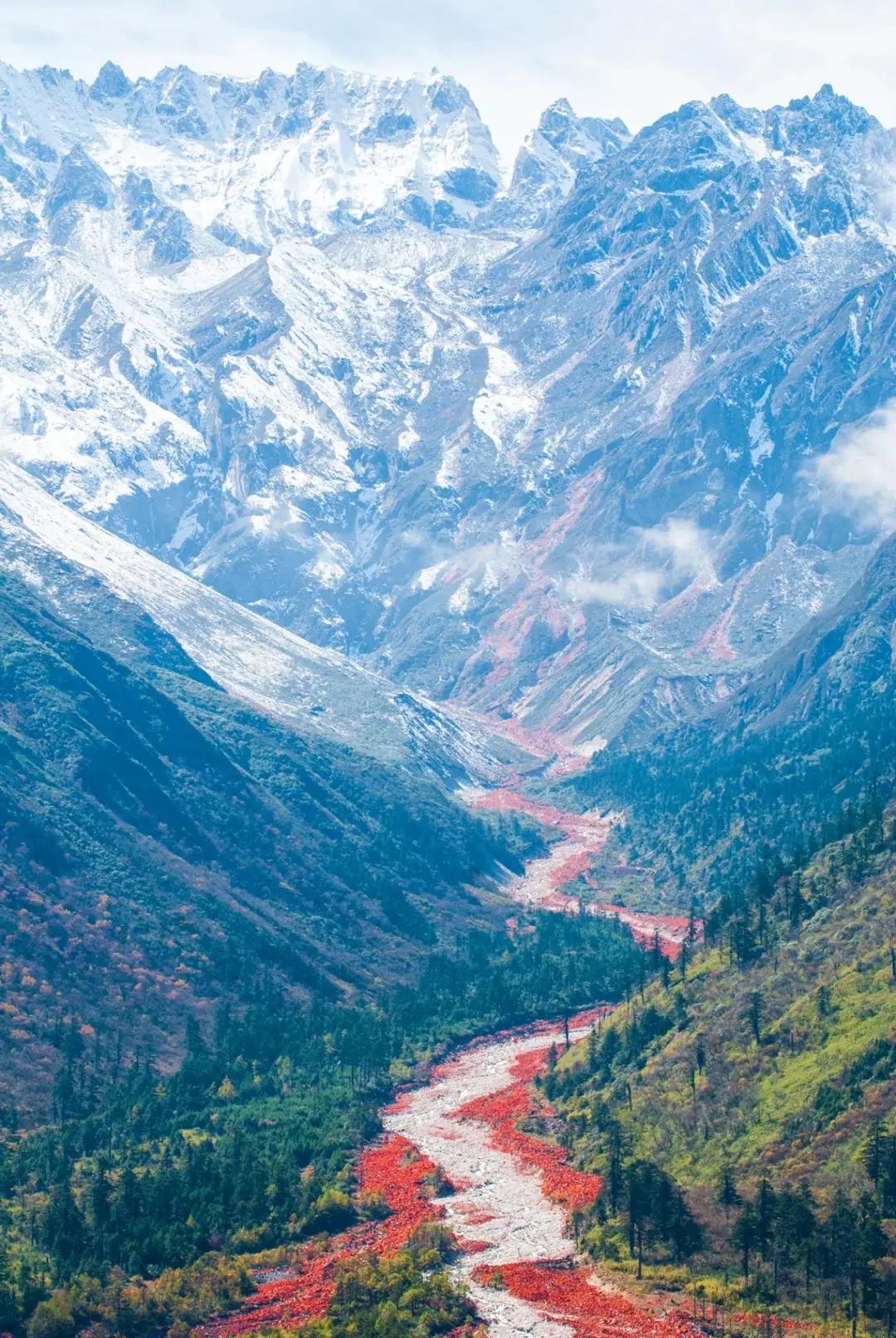 别争了，四川人内定了2021这个第一！