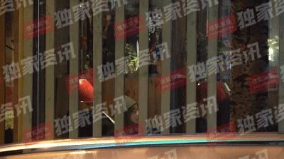 赵薇向男友人索吻,赵薇遭猴子索吻