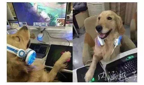 网游是虚拟的，*子骗**是真实的，网上游戏交易需谨防！