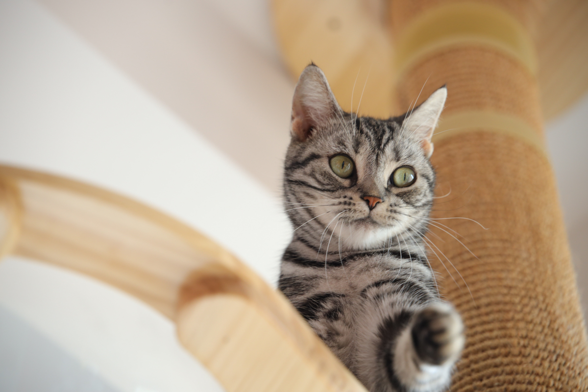 腾龙35mmf2.8手动镜头,旅拍佳能镜头推荐