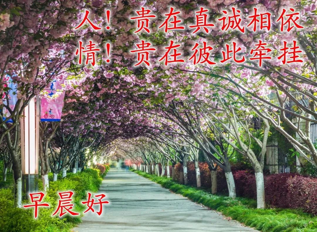 早安佛祖祝福带字美图,最新早安带字祝福图片