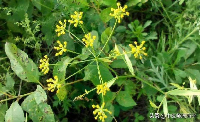 那位总是受情绪影响的男青年,经方医案分享10