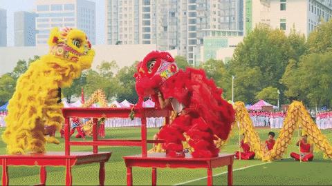 黄师“院”景|运动、学习，体育教育原来是这样的......