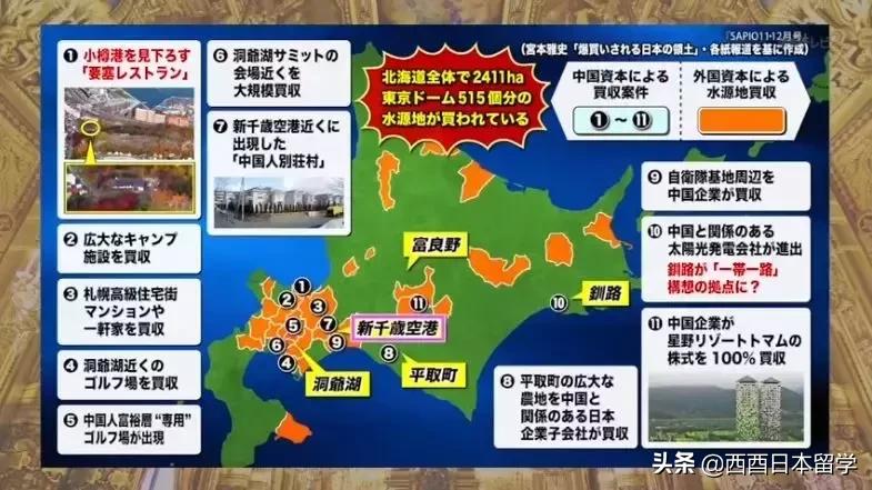 日本便宜的奢侈品包包,日本购买奢侈品包包全新