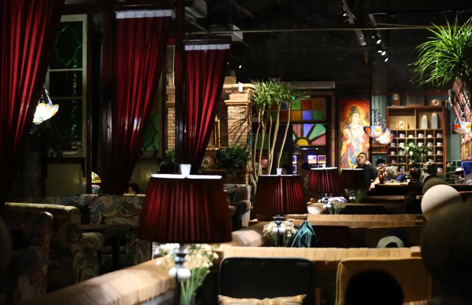 古都夜八点相约植物园,古都夜八点相约洛阳城