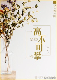 娱乐圈恋爱真人秀导师甜宠文,娱乐圈甜文恋爱综艺一口气看完