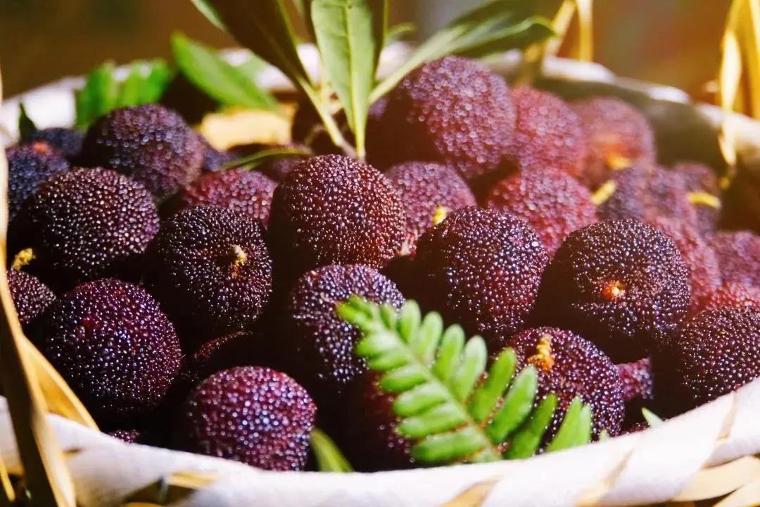 红了!红了!开采啦