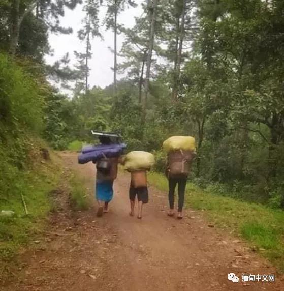 疫情当下风雨飘摇,缅甸最新疫情局势图表