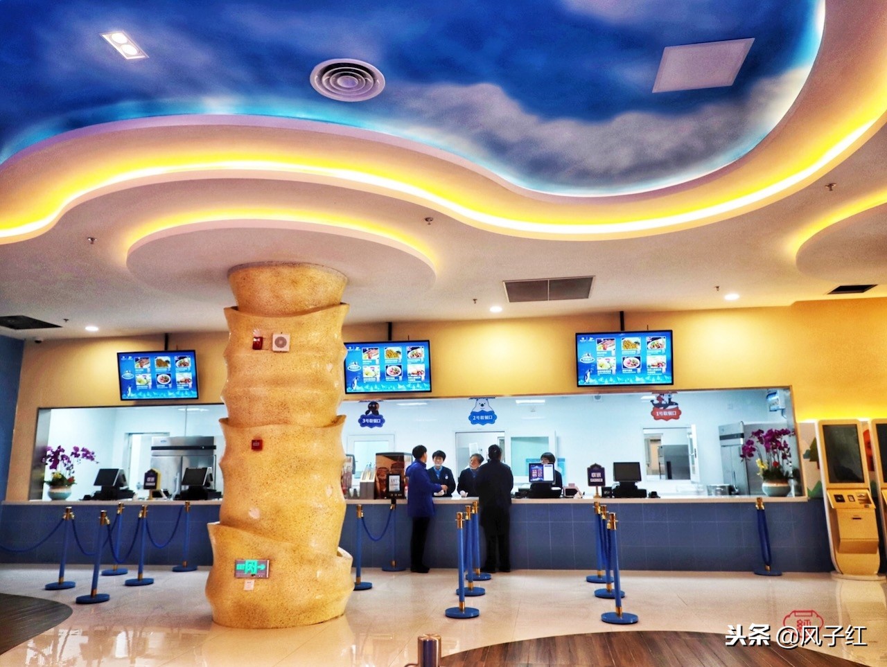 上海新地标丨海昌海洋公园一日游园玩法攻略