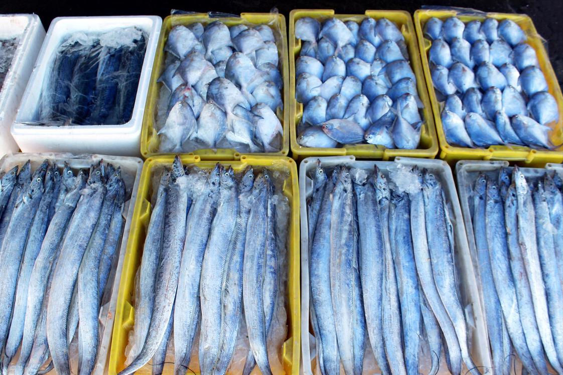 带鱼哪个地方最好吃,带鱼是哪个地方的带鱼最好吃