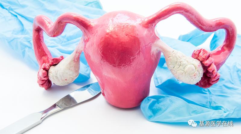 常见的妇科问题以及解决方案,得了妇科炎症觉得很羞耻