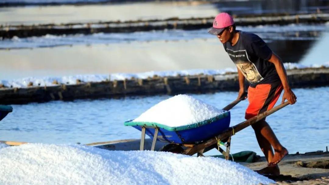 吃了一辈子盐你真的了解它吗,海盐比普通盐有啥好处