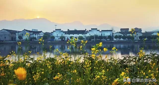 新歌推荐|乌兰娜《童年的油菜花》油菜花开正当时不负*光春**不负己