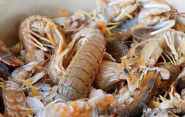 说说海鲜那些事，今日之虾爬子篇，读后让您会有更大收获