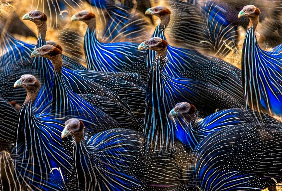 香港第14届全国摄影艺术展,第29届全国摄影艺术展览获奖名单