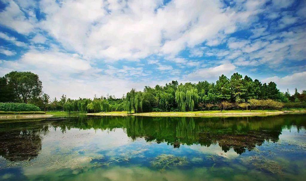 雄鹰高飞的寓意,雄鹰一定要飞得高