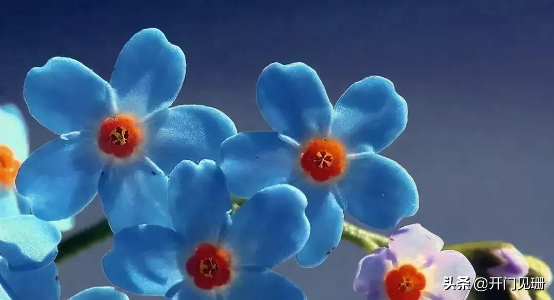 习惯性讨好的人，教你摆脱这种状态