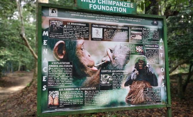 科特迪瓦哪里的海边好玩,科特迪瓦象牙海岸